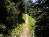 Dom Pristava in Javorniški Rovt - Belska planina (Svečica)